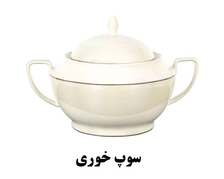 سرویس چینی پردیس نیوبن ویلیام کد 4005 استخوانی