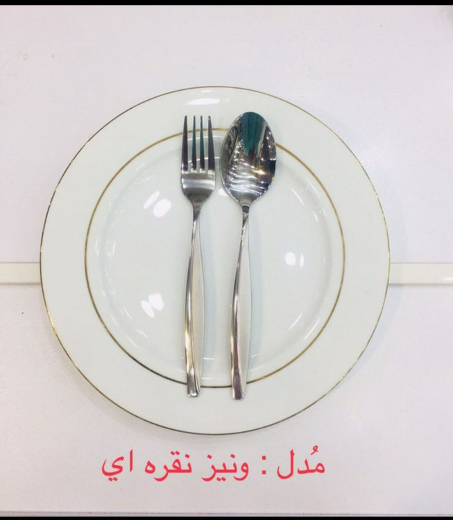 مدل ونیز نقره ای